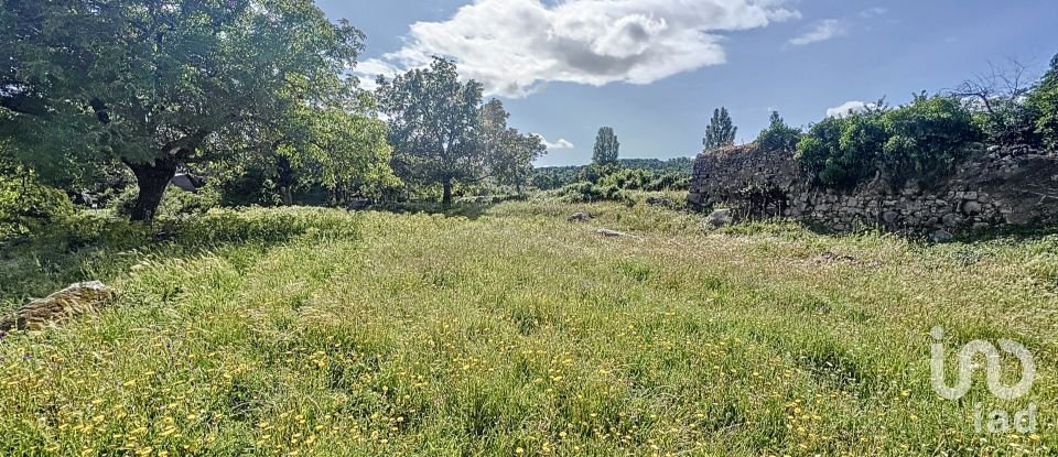 Land of 6,400 m² in Villamiel (10893)