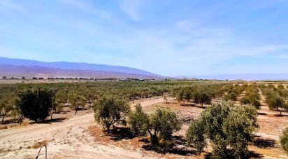 House 5 bedrooms of 210 m² in Tabernas (04200)