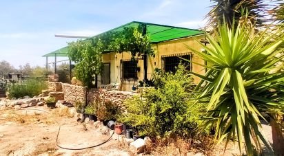 House 5 bedrooms of 210 m² in Tabernas (04200)