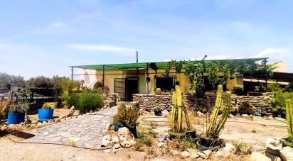 House 5 bedrooms of 210 m² in Tabernas (04200)