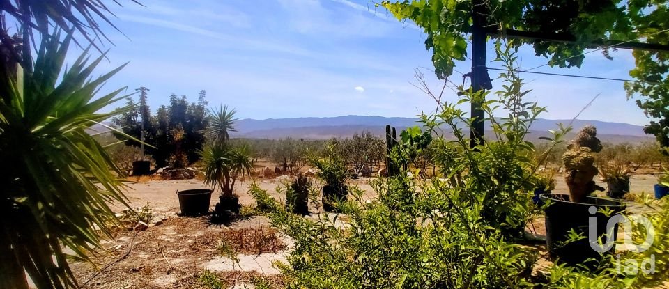 House 5 bedrooms of 210 m² in Tabernas (04200)