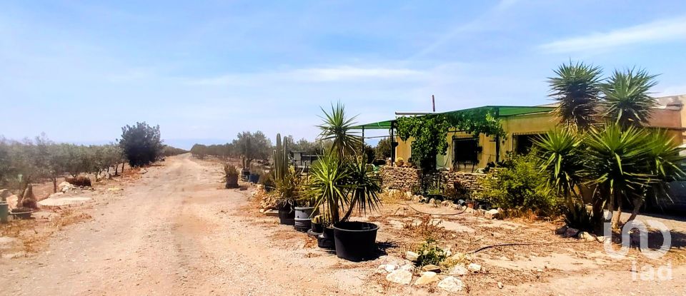 House 5 bedrooms of 210 m² in Tabernas (04200)