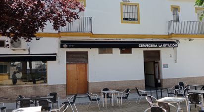 Shop / premises commercial of 354 m² in Écija (41400)