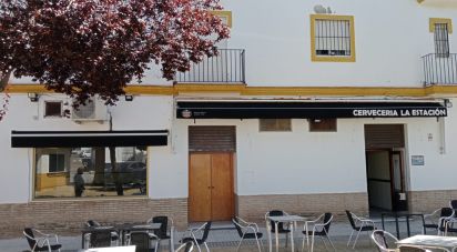 Tienda / local comercial de 354 m² en Écija (41400)