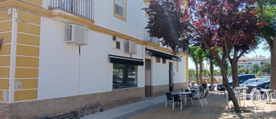 Tienda / local comercial de 354 m² en Écija (41400)