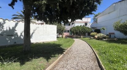 Casa tradicional 4 habitacions de 180 m² a Empuriabrava (17487)