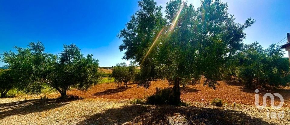 Terreno de 26.000 m² en Arcos de la Frontera (11630)