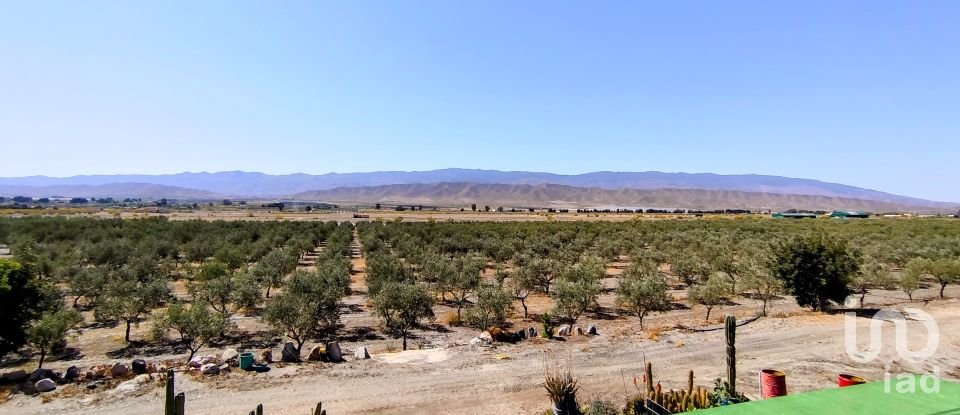 House 5 bedrooms of 210 m² in Tabernas (04200)