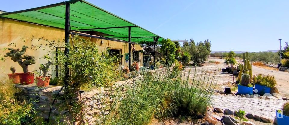 Maison 5 chambres de 210 m² à Tabernas (04200)