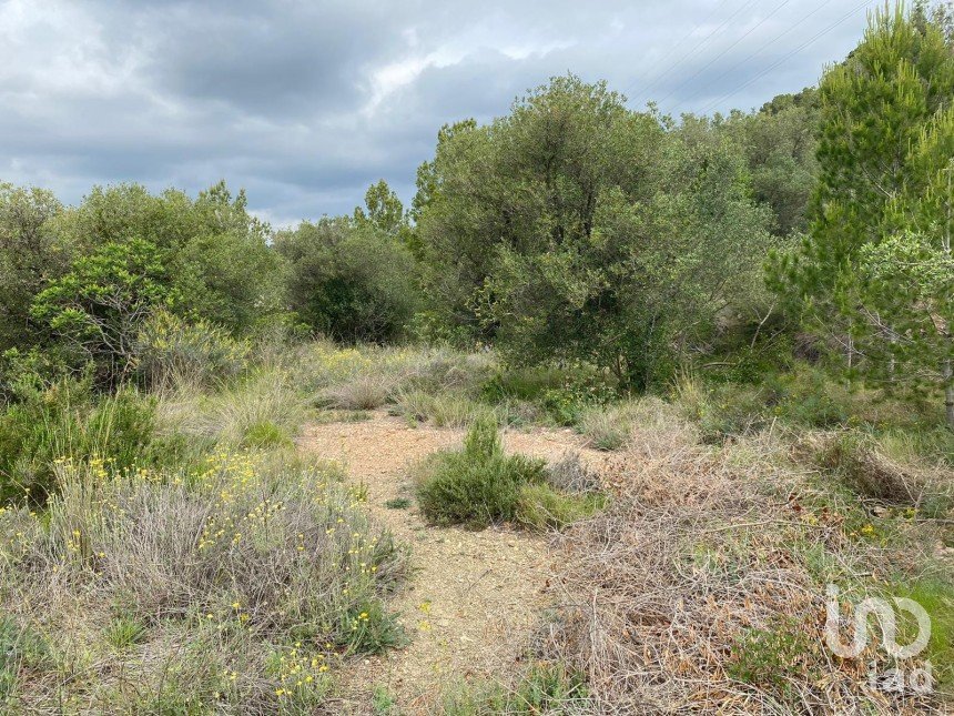 Land of 3,857 m² in Castellvell del Camp (43392)