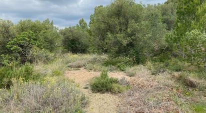 Land of 3,857 m² in Castellvell del Camp (43392)