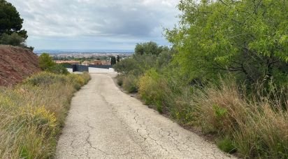 Terreno de 3.857 m² en Castellvell del Camp (43392)