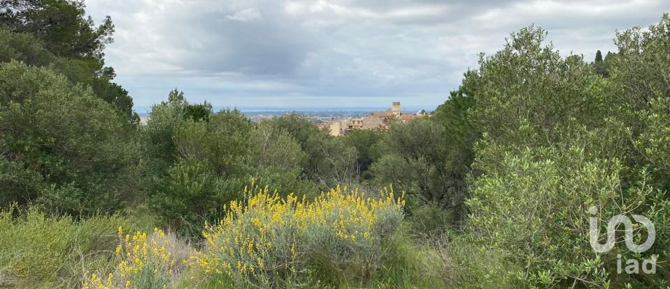 Terrain de 3 857 m² à Castellvell del Camp (43392)