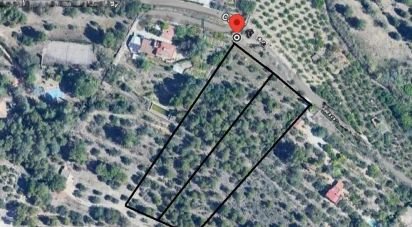 Terreno de 4.530 m² en Castellvell del Camp (43392)