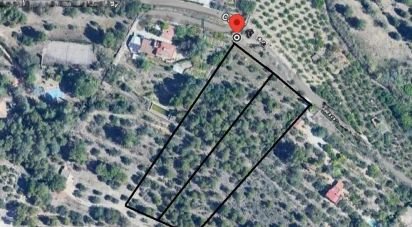 Land of 4,530 m² in Castellvell del Camp (43392)