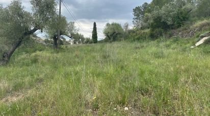 Terreno de 4.530 m² en Castellvell del Camp (43392)