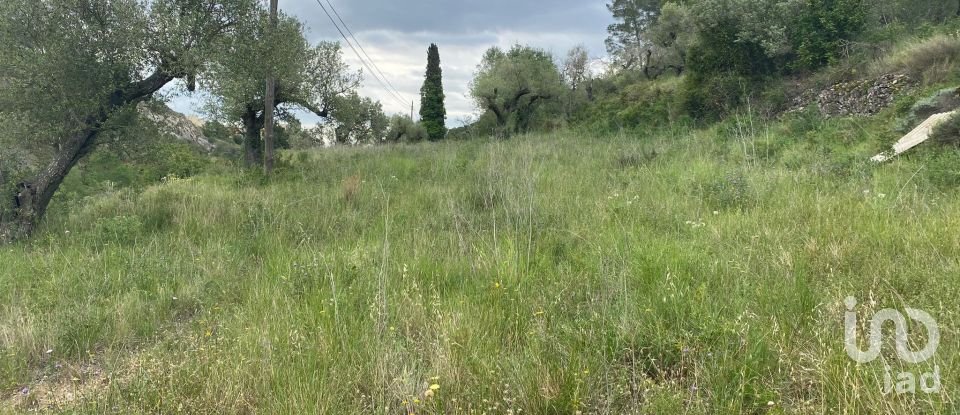 Land of 4,530 m² in Castellvell del Camp (43392)