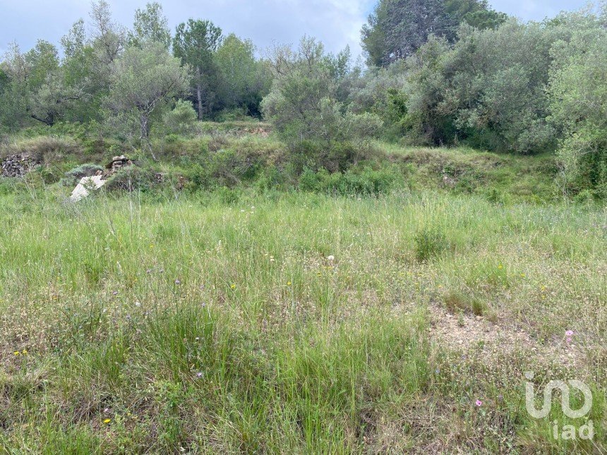 Terrain de 4 530 m² à Castellvell del Camp (43392)