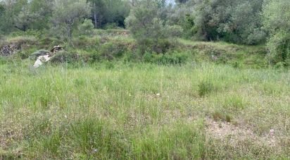 Land of 4,530 m² in Castellvell del Camp (43392)