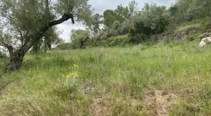 Land of 4,530 m² in Castellvell del Camp (43392)