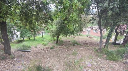 Terreno de 800 m² en Cervelló (08758)