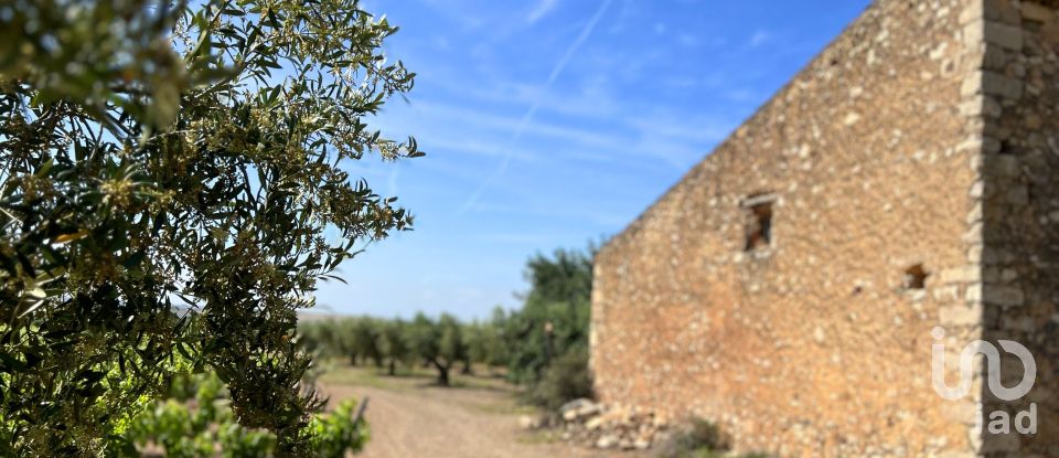 Terreno de 27.231 m² en Valls (43800)