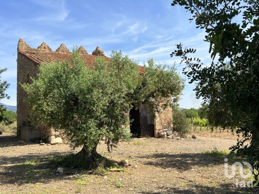 Terreno de 27.231 m² en Valls (43800)