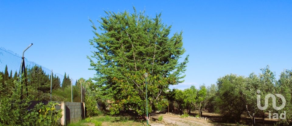 Terreno de 11.271 m² en Tarragona (43006)