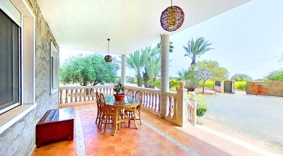 Casa rústica 7 habitaciones de 550 m² en Elx/Elche (03296)