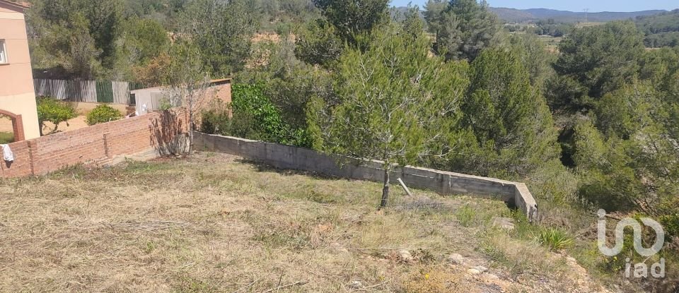 Terra de 274 m² a La Bisbal del Penedès (43717)