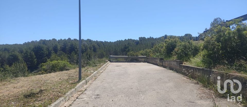 Terreno de 274 m² en La Bisbal del Penedès (43717)