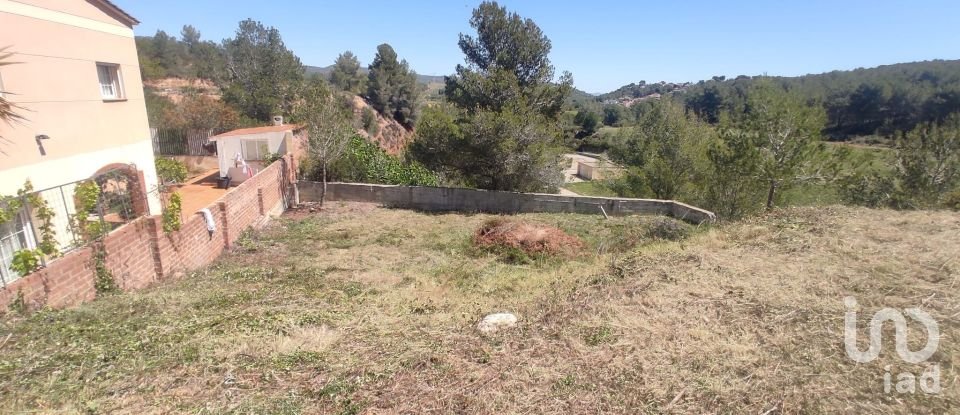 Terra de 274 m² a La Bisbal del Penedès (43717)