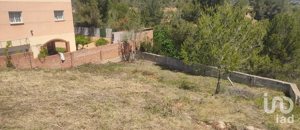 Terreno de 274 m² en La Bisbal del Penedès (43717)