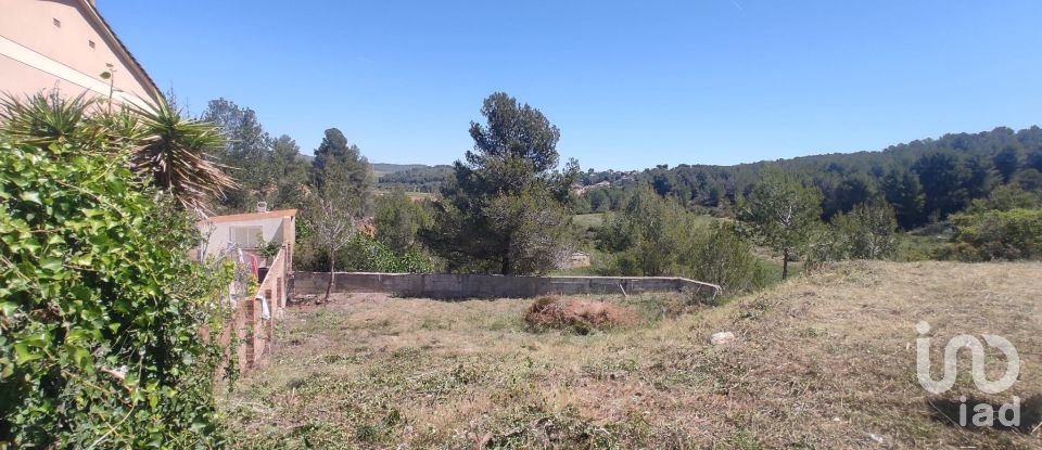 Terreno de 274 m² en La Bisbal del Penedès (43717)