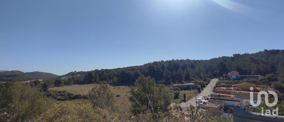 Terrain de 274 m² à La Bisbal del Penedès (43717)