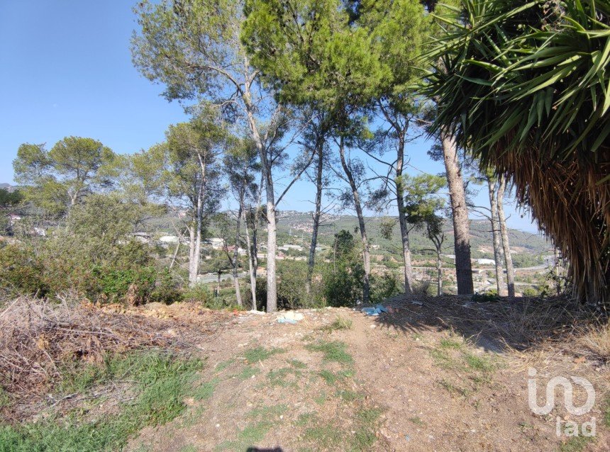 Terra de 1.067 m² a Cervelló (08758)