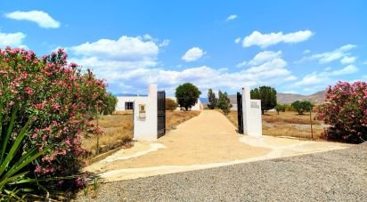 House 5 bedrooms of 390 m² in Tabernas (04200)