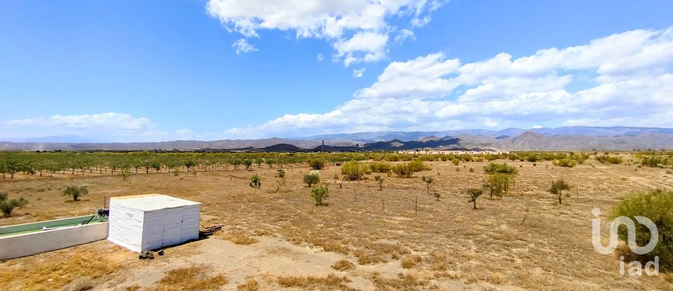 Casa 5 habitacions de 390 m² a Tabernas (04200)