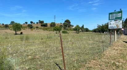 Terreno de 10.141 m² en Ciudad Rodrigo (37500)