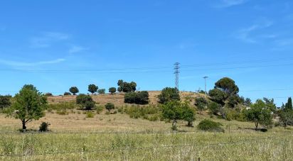 Terreno de 10.141 m² en Ciudad Rodrigo (37500)