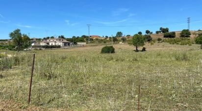 Terreno de 10.141 m² en Ciudad Rodrigo (37500)
