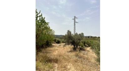 Terrain agricole de 10 049 m² à Ascó (43791)