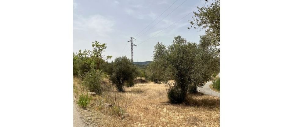 Agricultural land of 10,049 m² in Ascó (43791)