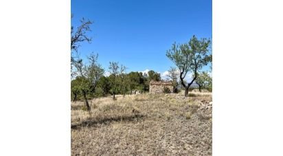 Agricultural land of 8,072 m² in Ascó (43791)