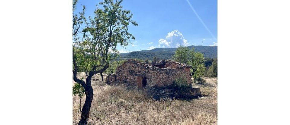 Tierra agrícola de 8.072 m² en Ascó (43791)