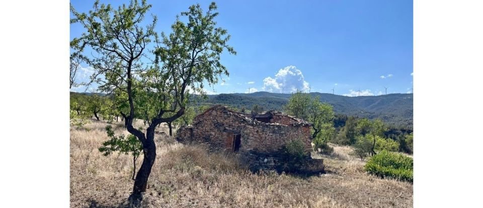 Tierra agrícola de 8.072 m² en Ascó (43791)