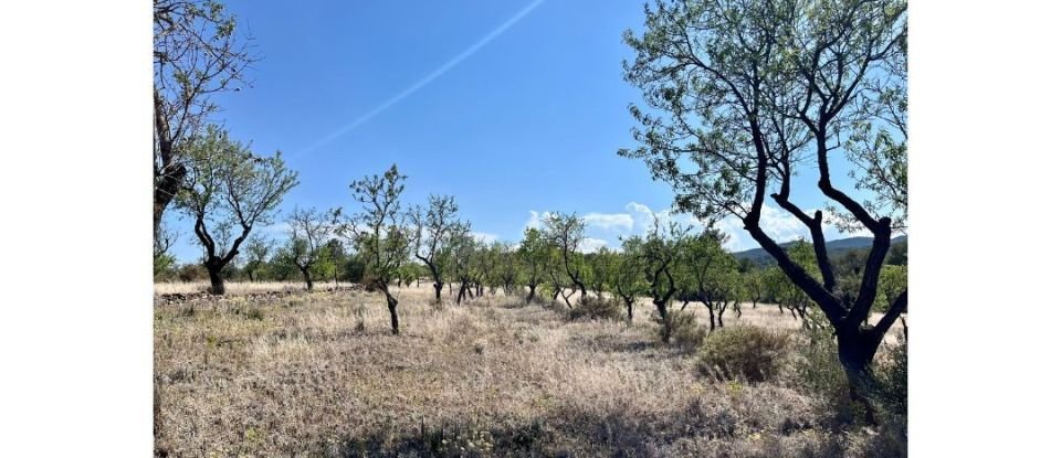 Tierra agrícola de 8.072 m² en Ascó (43791)