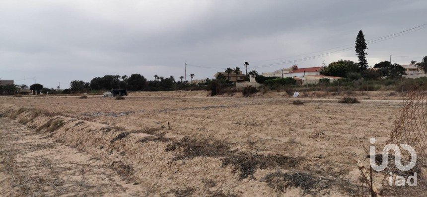 Terreno de 3.800 m² en La Marina del Pinet (03194)