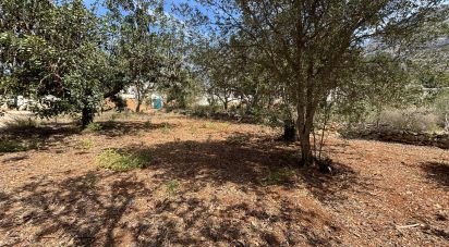 Land of 800 m² in Dénia (03700)