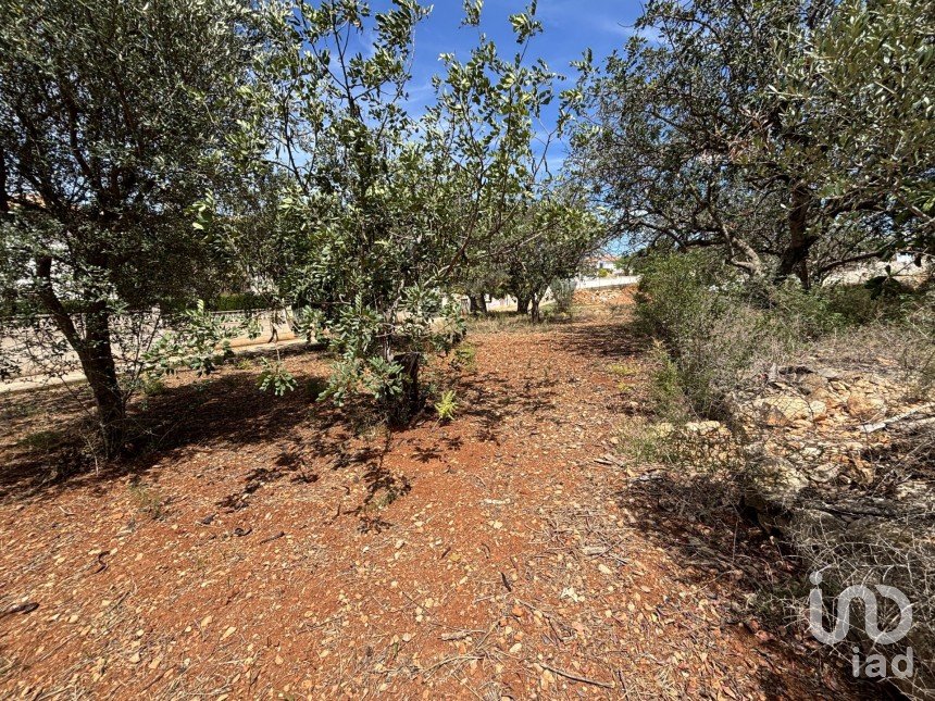 Terreno de 800 m² en Dénia (03700)